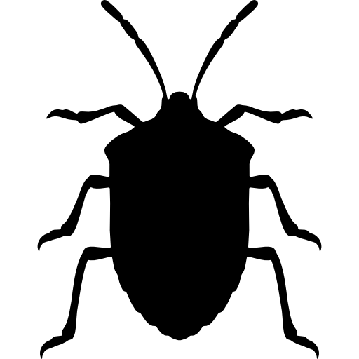 insecto insecto apestoso forma desde la vista superior icono gratis