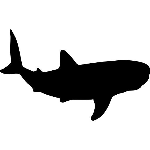 forma de tiburón ballena icono gratis