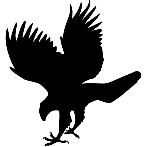 Hawk bird animal shape - Free animals icons