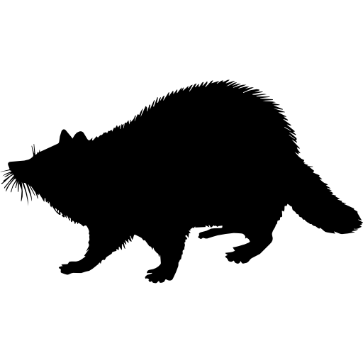 forme animale mammifère raton laveur Icône gratuit