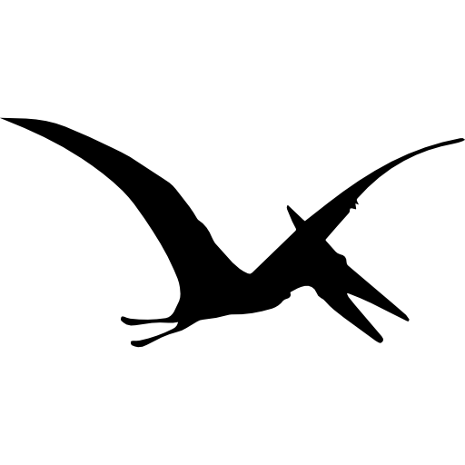 Design PNG E SVG De Silhueta De Dinossauro Pterodáctilo Para Camisetas