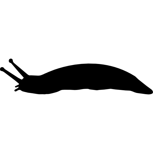 forme de limace Icône gratuit