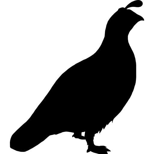 forme d'oiseau de caille Icône gratuit