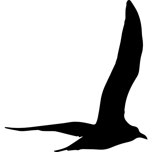 forma de vuelo de pájaro gaviota icono gratis