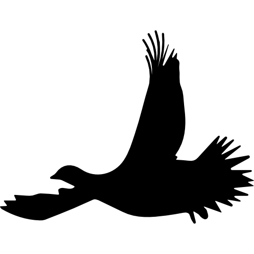 silhouette de vol d'oiseau tétras Icône gratuit