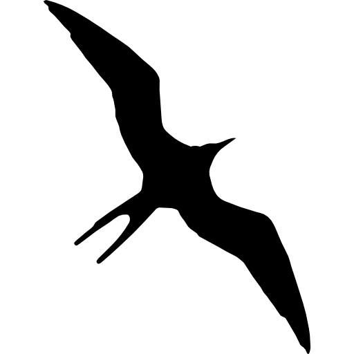 Frigate Bird Silhouette