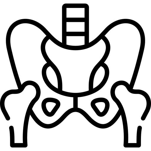 Pelvis free icon Pelvis free icon