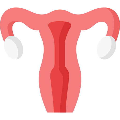 Human Uterus icon. Human Uterus linear symbol design from Human