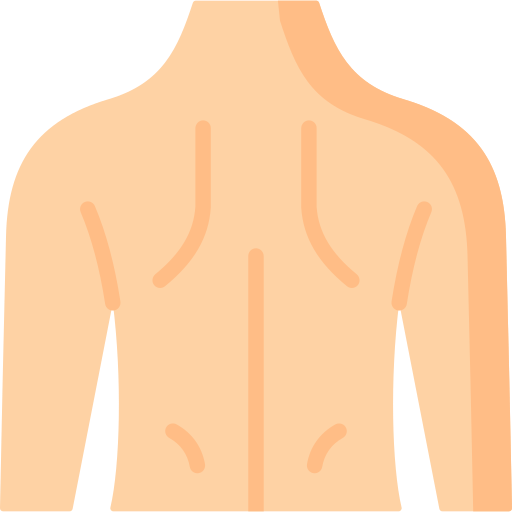 Back, body, organ, part, person, trunk icon - Download on Iconfinder