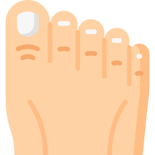 Toe Special Flat icon