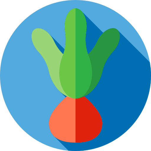 rábano icono gratis