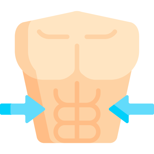 abdos Icône gratuit abdos Icône gratuit