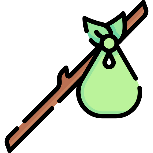 Bindle Special Lineal color icon