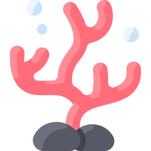 Coral Reef Png