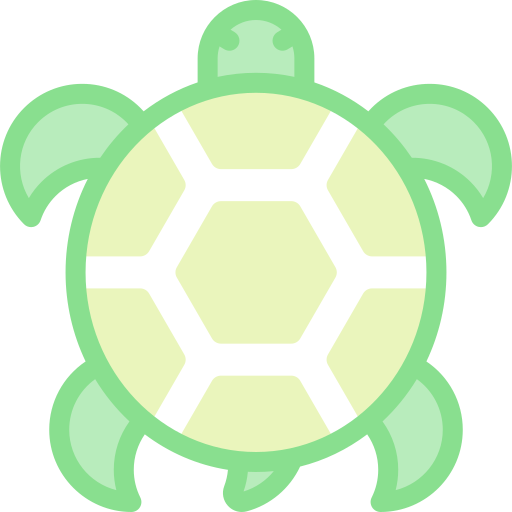 Turtle Detailed color Lineal color icon