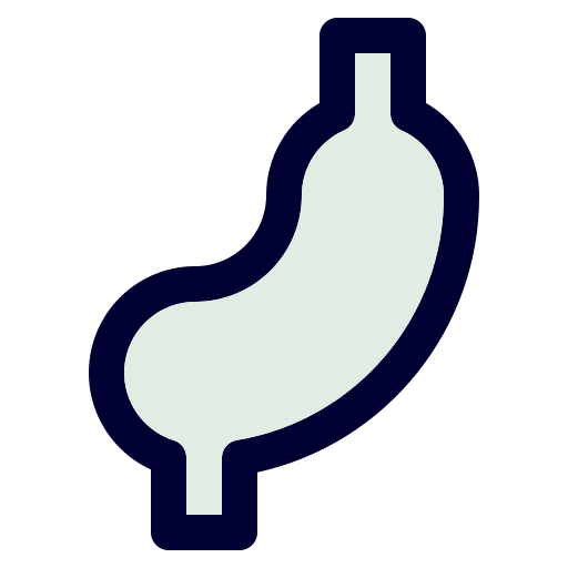 Stomach Generic Outline Color icon