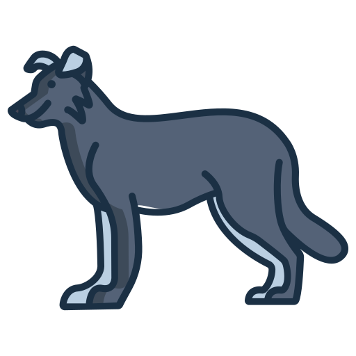 border collie icono gratis