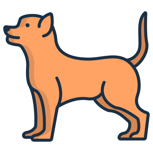 Chihuahua Icongeek26 Linear Colour icon