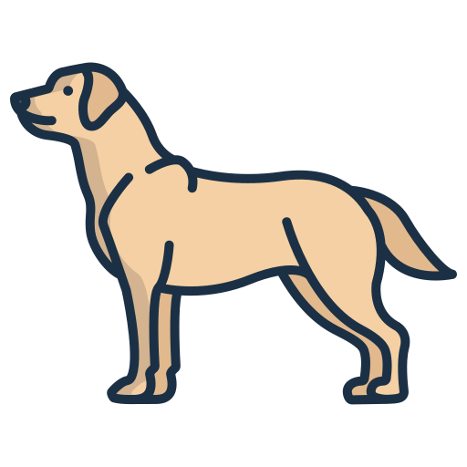 labrador retriever icono gratis