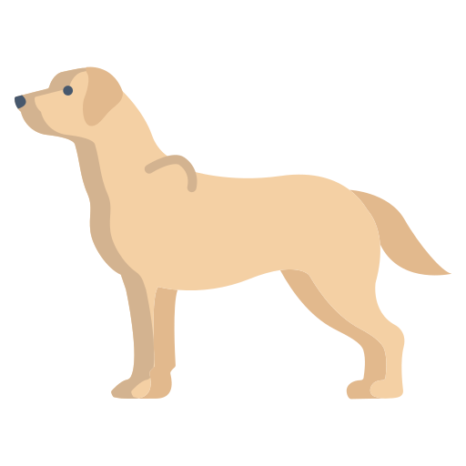 labrador retriever icono gratis