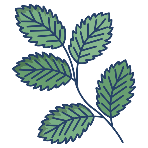 Mint free icon Mint free icon