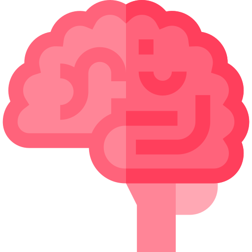 Brain Basic Straight Flat icon