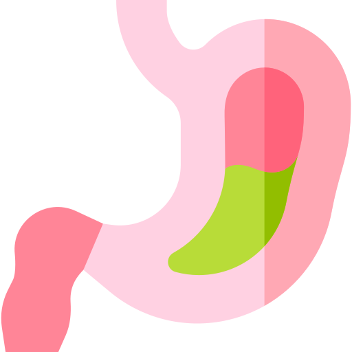 bauch kostenlos Icon