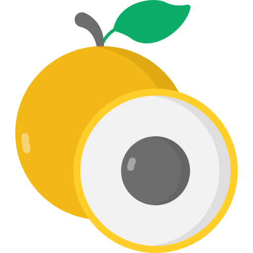 longan grátis ícone