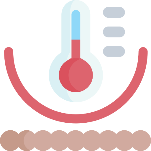 termo regularización icono gratis