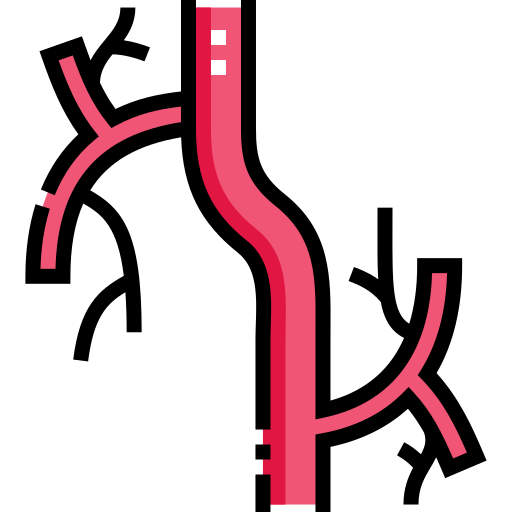 vascular clip art clip art