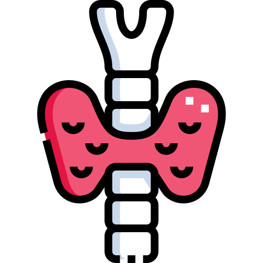 Icono de Sistema endocrino Detailed Straight Lineal color