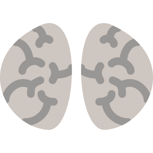 Brain free icon