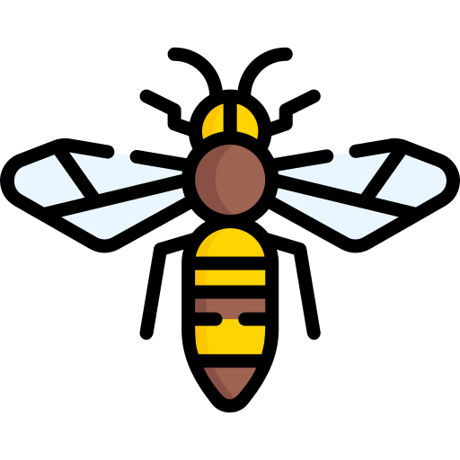 Bee free icon Bee free icon