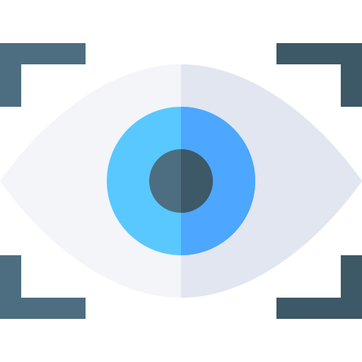 Vision Basic Straight Flat icon