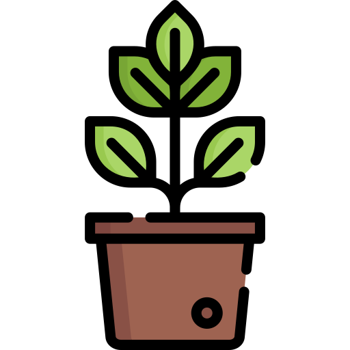 Plant Special Lineal Color Icon