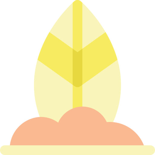 Surfboard free icon