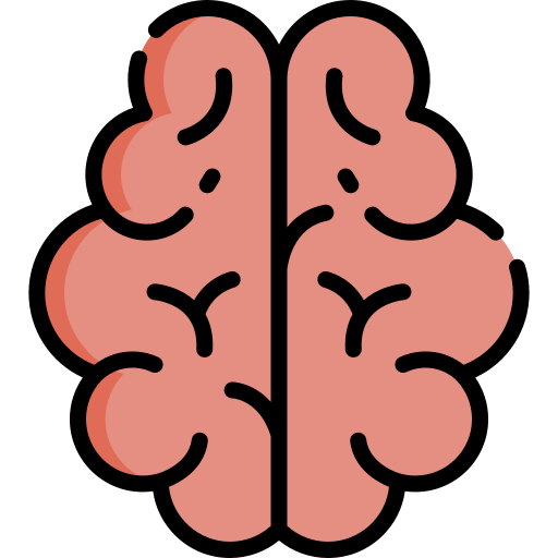 Brain Special Lineal color icon