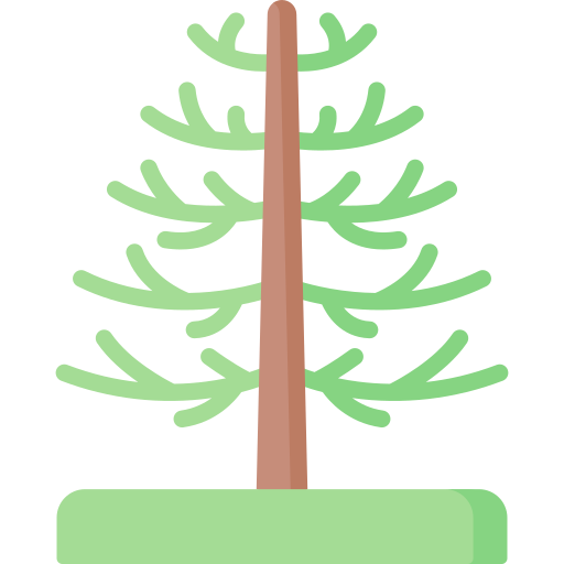 Árbol de araucaria icono gratis