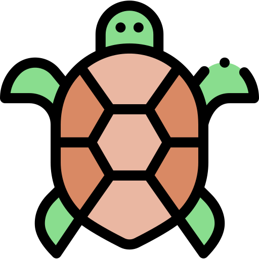 Turtle Detailed Rounded Lineal color icon