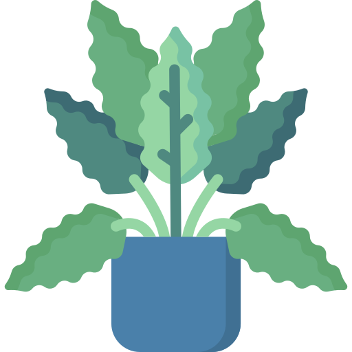 calathea 무료 아이콘 calathea 무료 아이콘