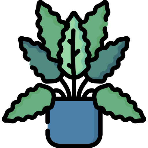 calathea 무료 아이콘 calathea 무료 아이콘