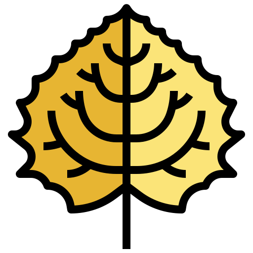 Aspen free icon
