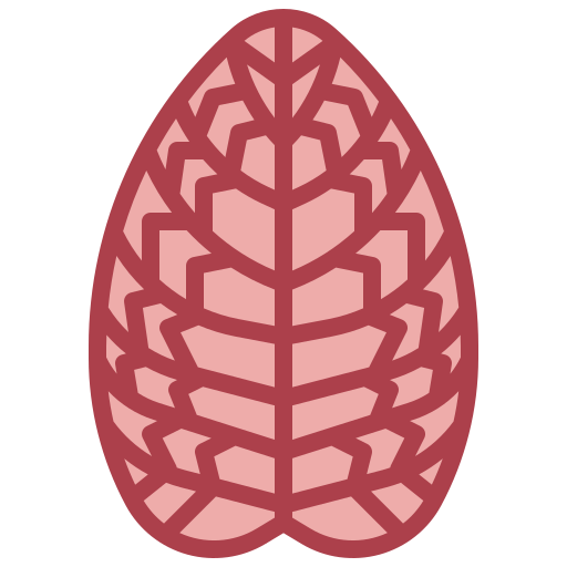 fittonia icono gratis