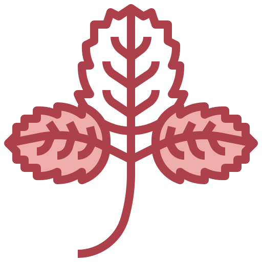 Strawberry free icon Strawberry free icon