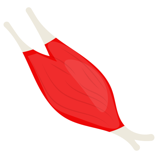 Muscles free icon