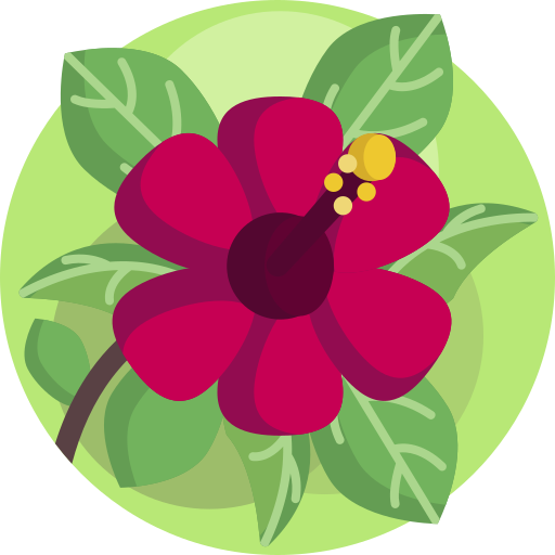 blume kostenlos Icon