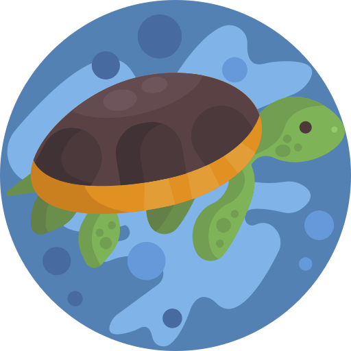 Tortoise free icon