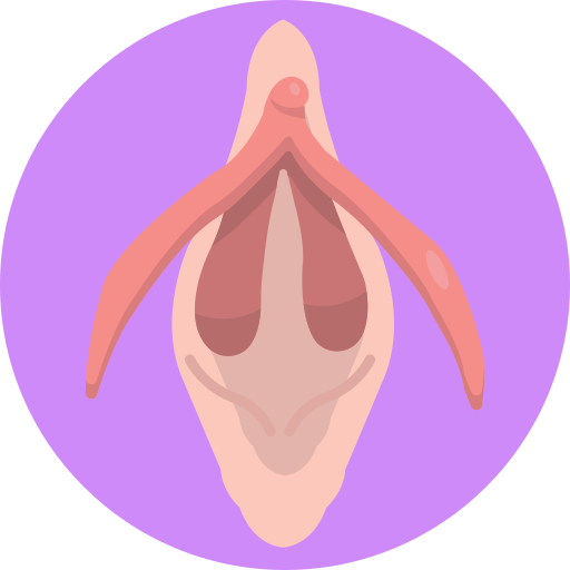 vagina icono gratis