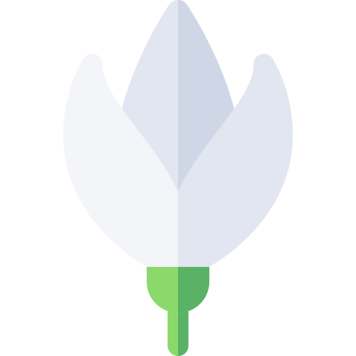 Flower free icon