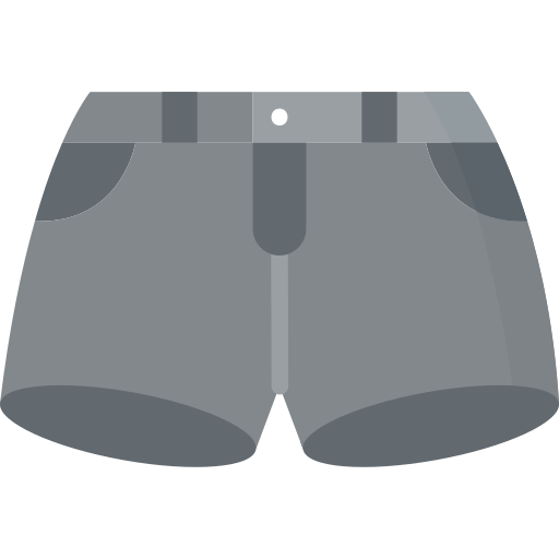 Shorts Special Flat icon